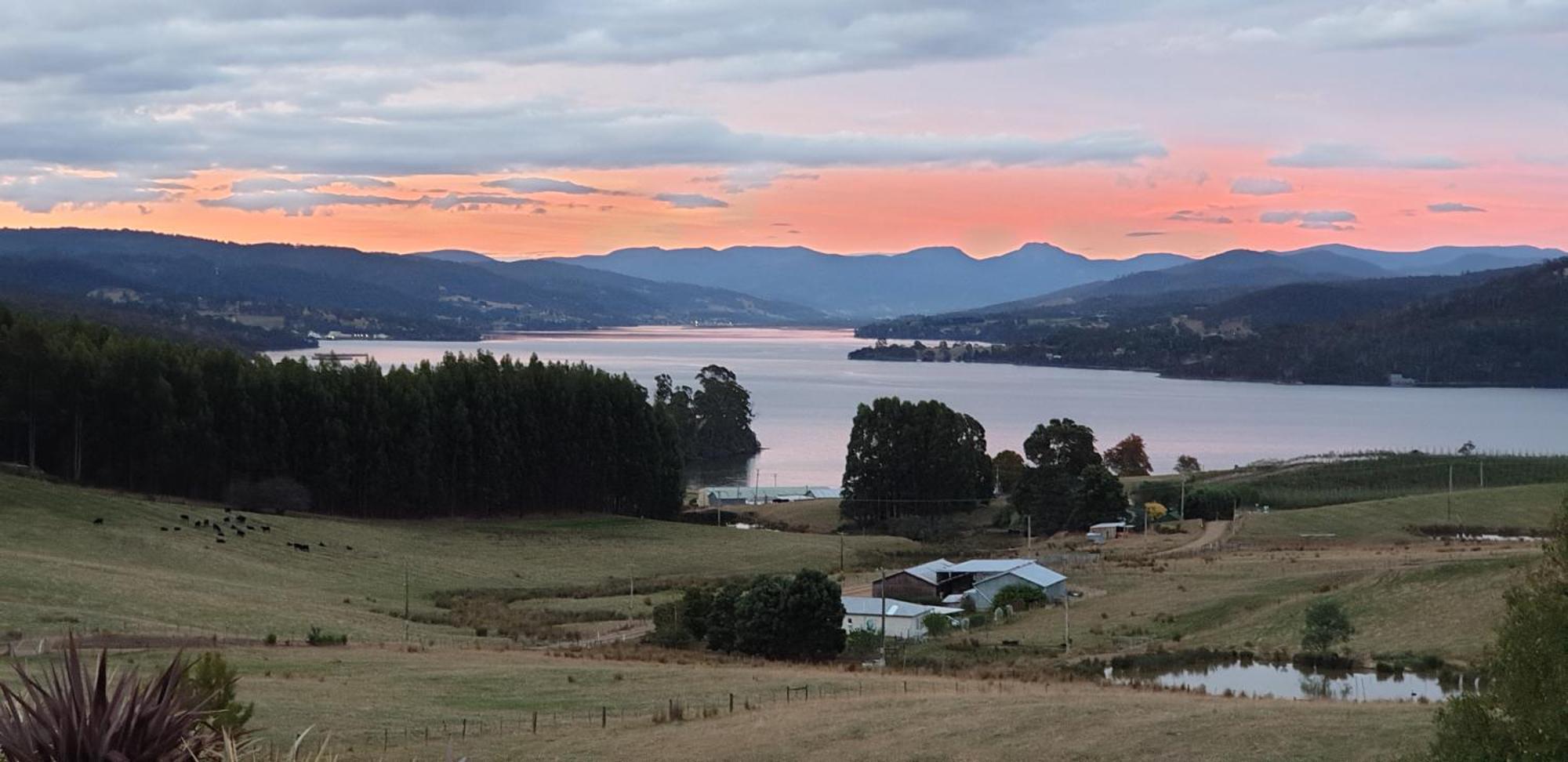 Huon Belle Homestead Brooks Bay Bagian luar foto